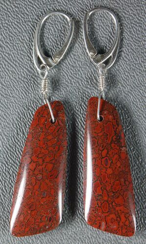 Rich, Red Agatized Dinosaur Gembone Earrings #33831